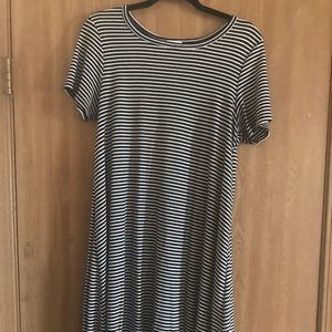LuLaRoe Carly - Blue and White Stripes